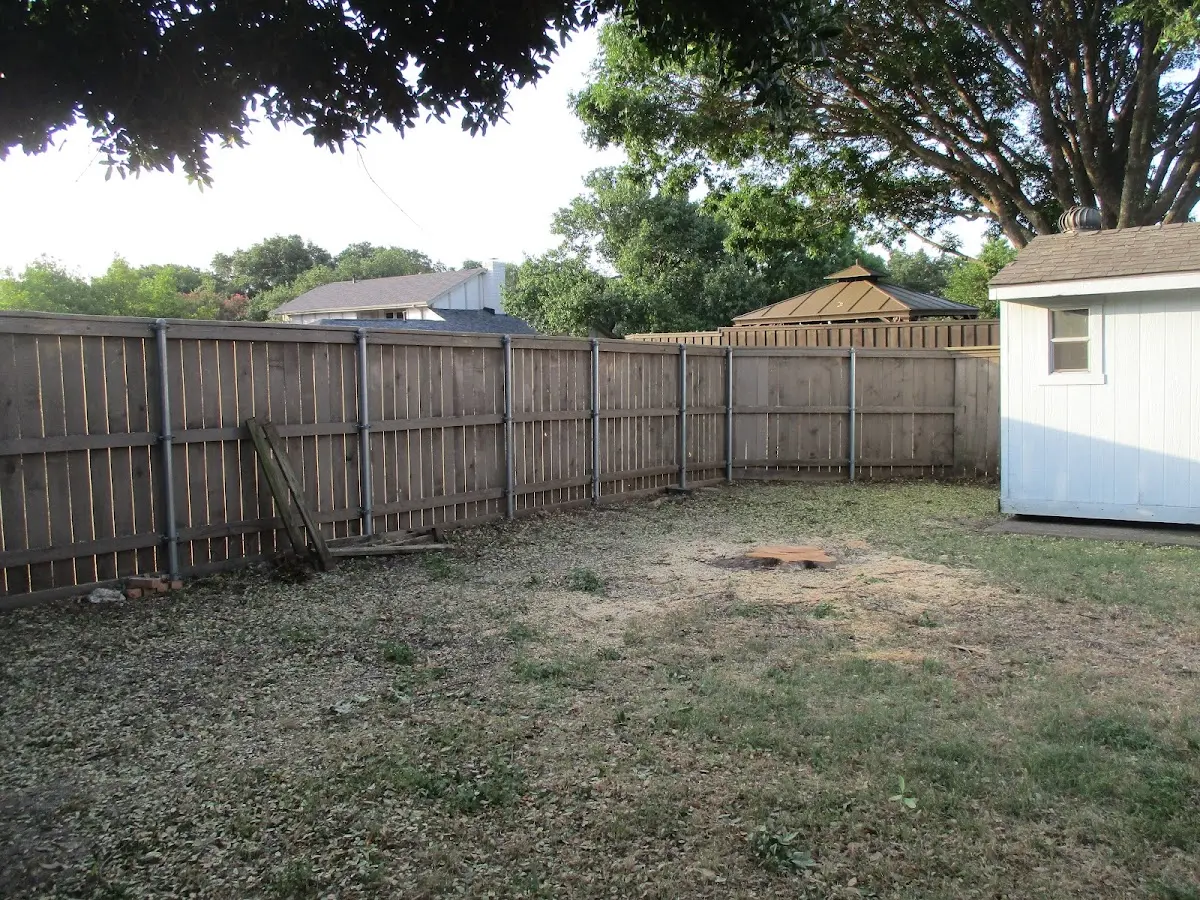 Cleared yard after professional tree removal in Oceana