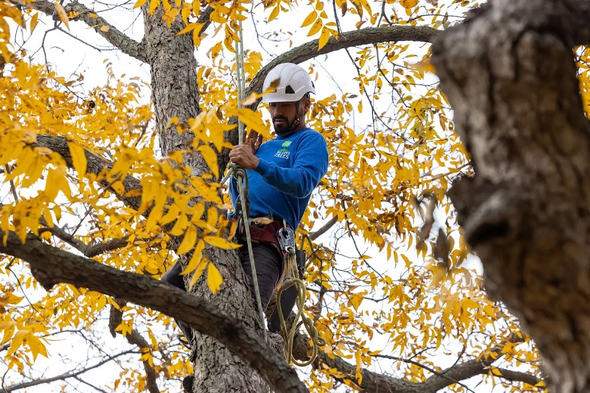 Skilled Storm Damage Cleanup crew working in Oceana